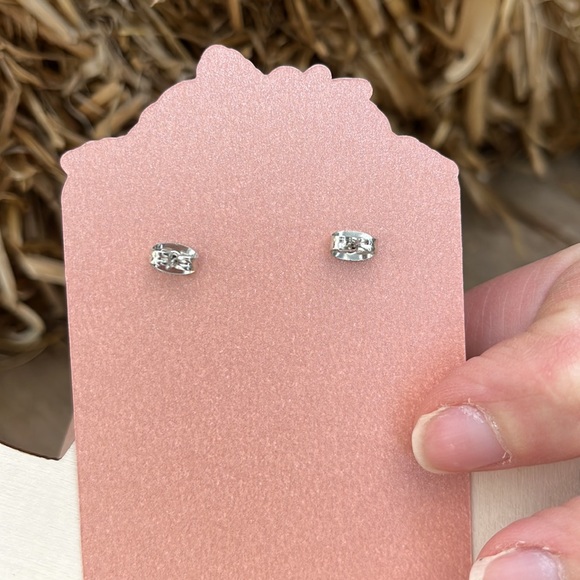 Mo Willems “ Pigeon and Duckling” Book Character Teacher Earrings - Picture 5 of 10